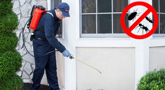 Kalkandere Gümüşkurt İlaçlama böcek ilaçlama ve haşere kontrolü — ilaclama-tr.com